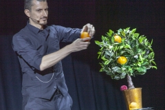 Wolfgang-Moser